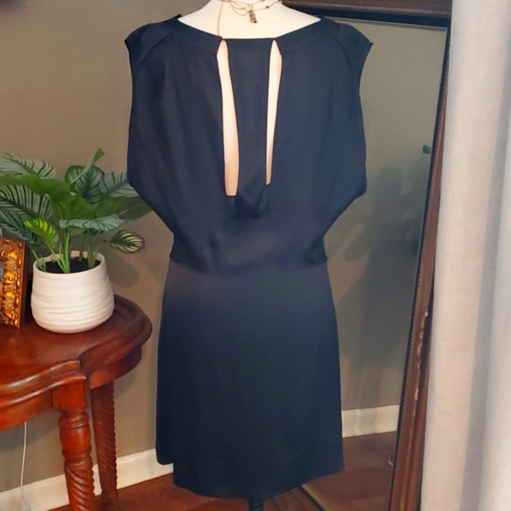 Nina Ricci Silk Dress - Picture 4 of 15